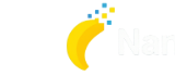 NanoFlow